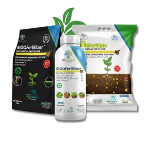 Demo Product